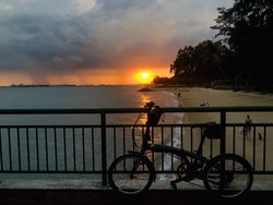 Tern Verge D9 | Togoparts Rides