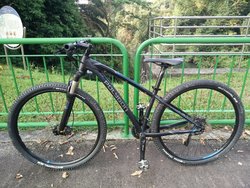 Treadly | Togoparts Rides