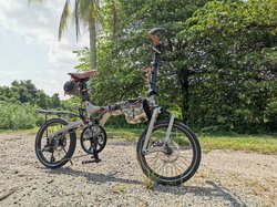The Bird | Togoparts Rides