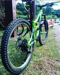 Green Viper | Togoparts Rides