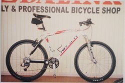 2002 Francesco Moser | Togoparts Rides