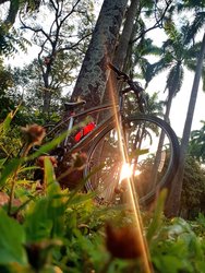 Hybrid Bike  | Togoparts Rides
