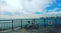 Qinzai | Togoparts Rides