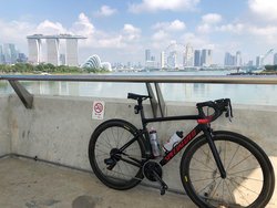 Specialzed Tarmac Pro | Togoparts Rides