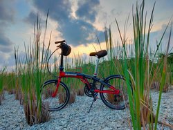Little Red | Togoparts Rides