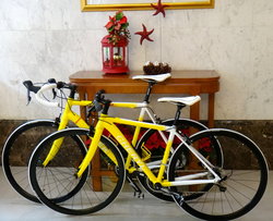 DHL | Togoparts Rides