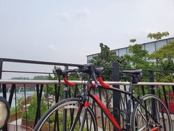 Polygon S2 | Togoparts Rides