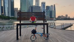 Brompton | Togoparts Rides