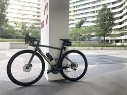 Maziora | Togoparts Rides