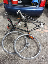 Tino | Togoparts Rides