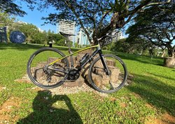 Giant Anyroad Advanced 2019 | Togoparts Rides