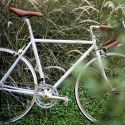 Tula Steel road bike | Togoparts Rides
