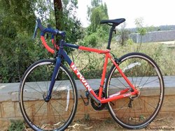 ColorMe | Togoparts Rides