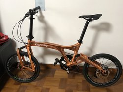 'Freddie' Mercury Copper Birdy | Togoparts Rides