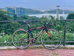 Wilier Triestina GTR | Togoparts Rides