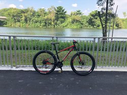 Blackie | Togoparts Rides