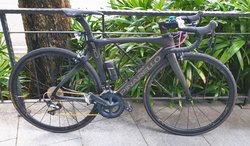 OEM Road Bike | Togoparts Rides