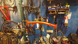 Orange B | Togoparts Rides