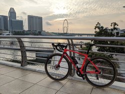 Giant TCR Disc | Togoparts Rides