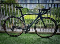 Bianchi Oltre  | Togoparts Rides