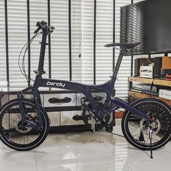 Birdy  | Togoparts Rides