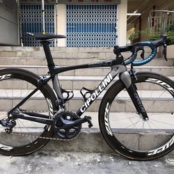 Cipollini  | Togoparts Rides