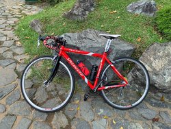 Specialized Allez | Togoparts Rides