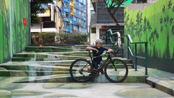 Lapierre  | Togoparts Rides