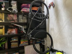 Giant Roam | Togoparts Rides