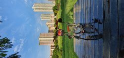 ABC-Awesome Brompton Camel | Togoparts Rides