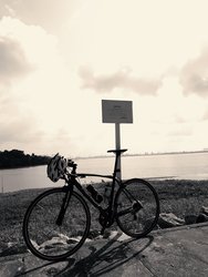 Partner in crime  | Togoparts Rides