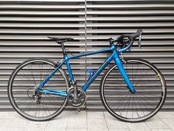 Alana Scultura  | Togoparts Rides