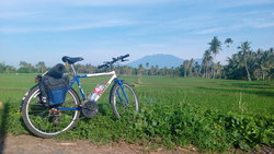 Cyty Cat Federal | Togoparts Rides