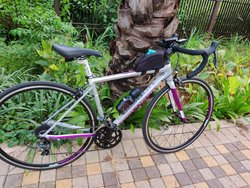 Purple Does | Togoparts Rides