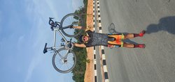 Alloy Sheep | Togoparts Rides