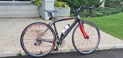 Willy the wilier | Togoparts Rides