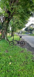 Splendid 7 Upgraded | Togoparts Rides