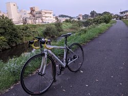 Cinelli Little Wings | Togoparts Rides