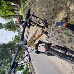 My newbi cleo | Togoparts Rides