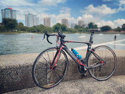 Wilier 80th Campagnolo Anniversary  | Togoparts Rides