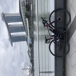 Ergonomic Eggplant  | Togoparts Rides