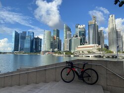 SS Ultegra | Togoparts Rides