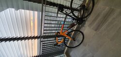 Scultura 5000 | Togoparts Rides