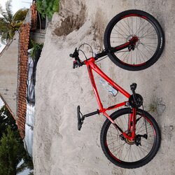 United Bike | Togoparts Rides