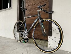 Cinelli Vigorelli Shark | Togoparts Rides