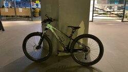 Polygon | Togoparts Rides