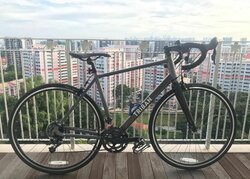 Ninja | Togoparts Rides