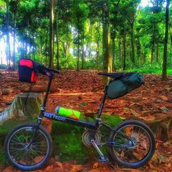 denmpoer | Togoparts Rides