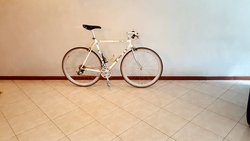 Gios Vintage | Togoparts Rides