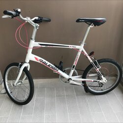 Raleigh MV8 | Togoparts Rides